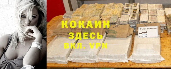 сатива Липки