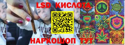 гидра Кимры