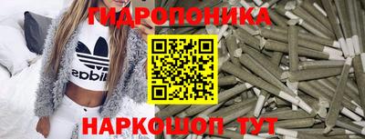 гидра Кимры