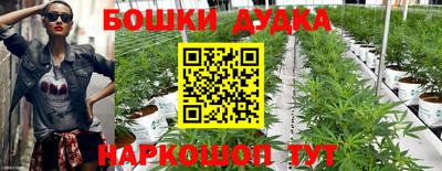 гидра Кимры