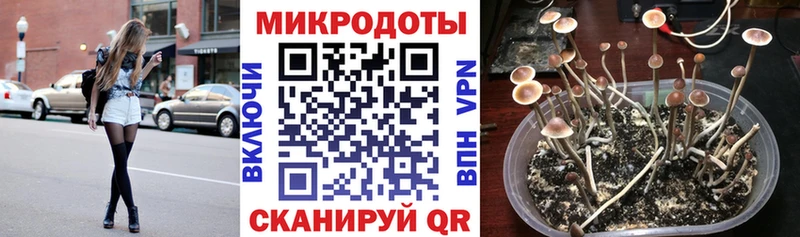 Галлюциногенные грибы Cubensis  Чистополь 