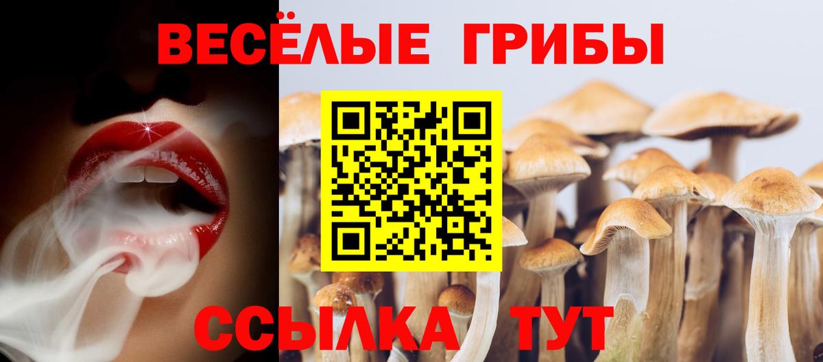Псилоцибиновые грибы мухоморы Чистополь